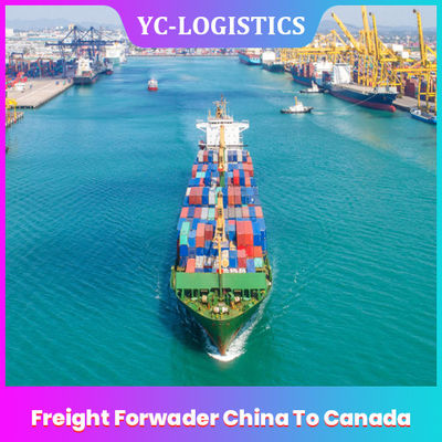 FOB 화물 운송업자 중국에서 캐나다로