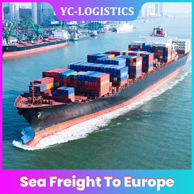 중국에서 유럽으로 국제 6-7일 DDP DDU 해상 운송