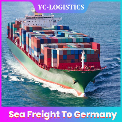 수요일 출발 Zhejiang Sea Freight Shipping Company Shenzhen