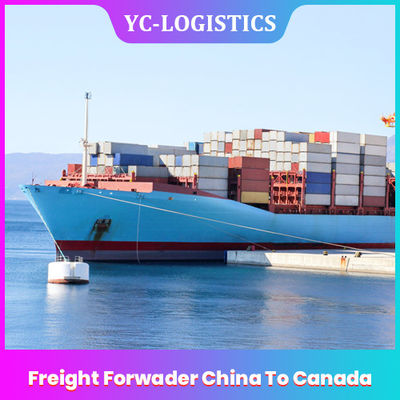 캐나다, DDP 아마존 주문 처리 서비스에 호별 바다 운임 운송업자 중국