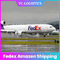 도어 투 도어 FedEx Amazon cZ CX BY DDU Air Cargo Agent