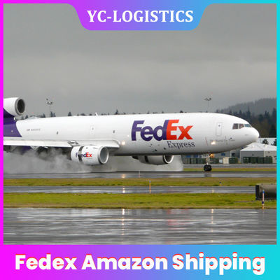 도어 투 도어 FedEx Amazon cZ CX BY DDU Air Cargo Agent
