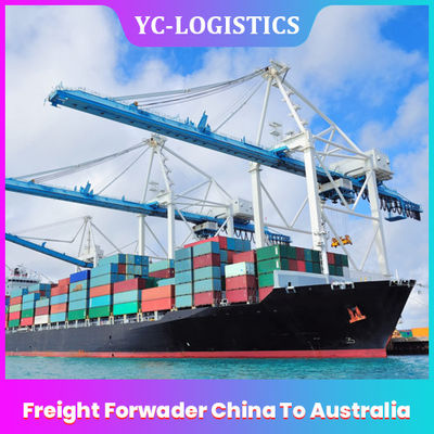 중국에서 호주까지 DDP 심천 해상 화물 빠른 배송