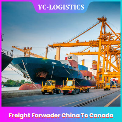 FOB EXW 중국에서 심천에서 전세계로 캐나다 운임 운송업자, DDU 해상 운송 서비스