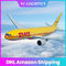 일 납품 LCL DHL 항공 운송, DDP DHL 호별 국제 서비스